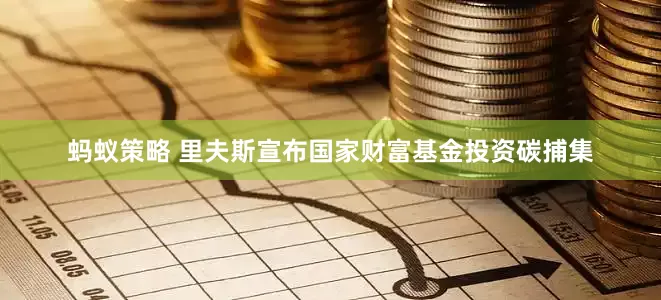 蚂蚁策略 里夫斯宣布国家财富基金投资碳捕集